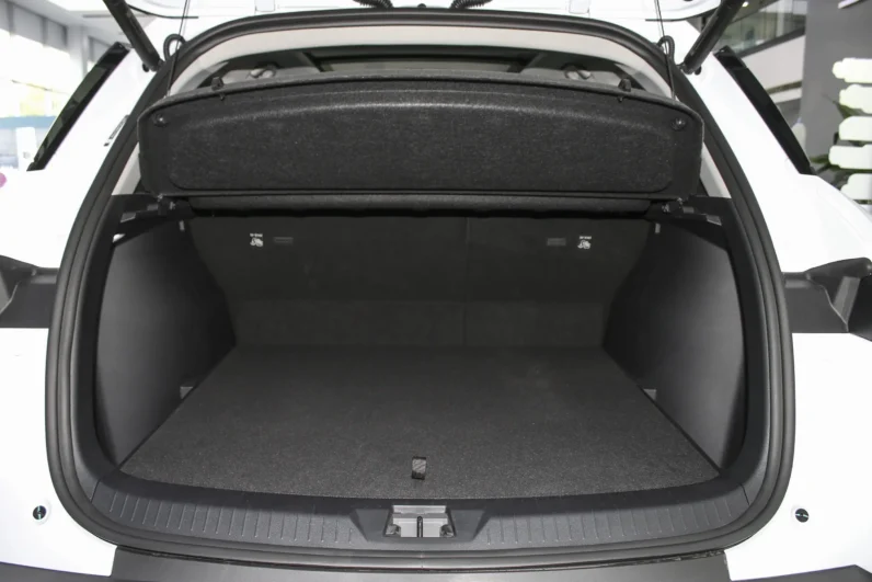 BYD Sea Lion 05 DM