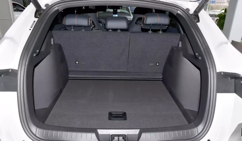 
								BYD Song PLUS EV full									