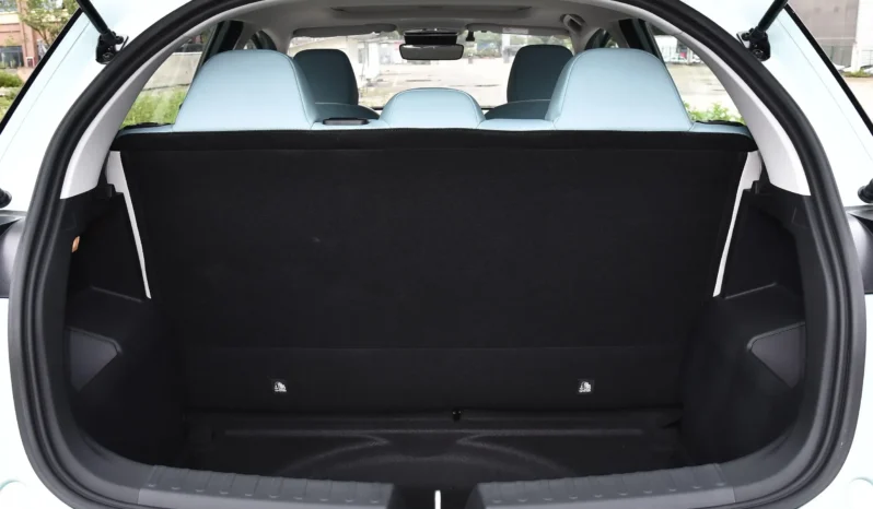 
								Geely Geometry E Firefly full									