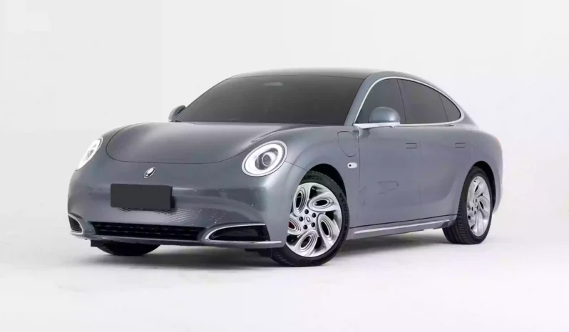 
								GWM Ora Lightening Cat full									