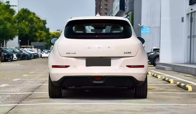 
								GWM Ora Funky Cat full									